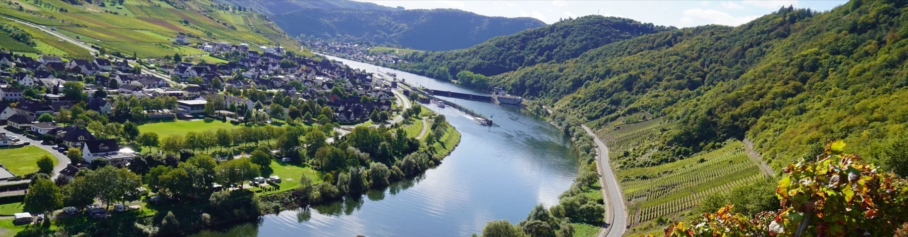 Mosel und Weinberge bei Traben-Trarbach, nahe Pünderich